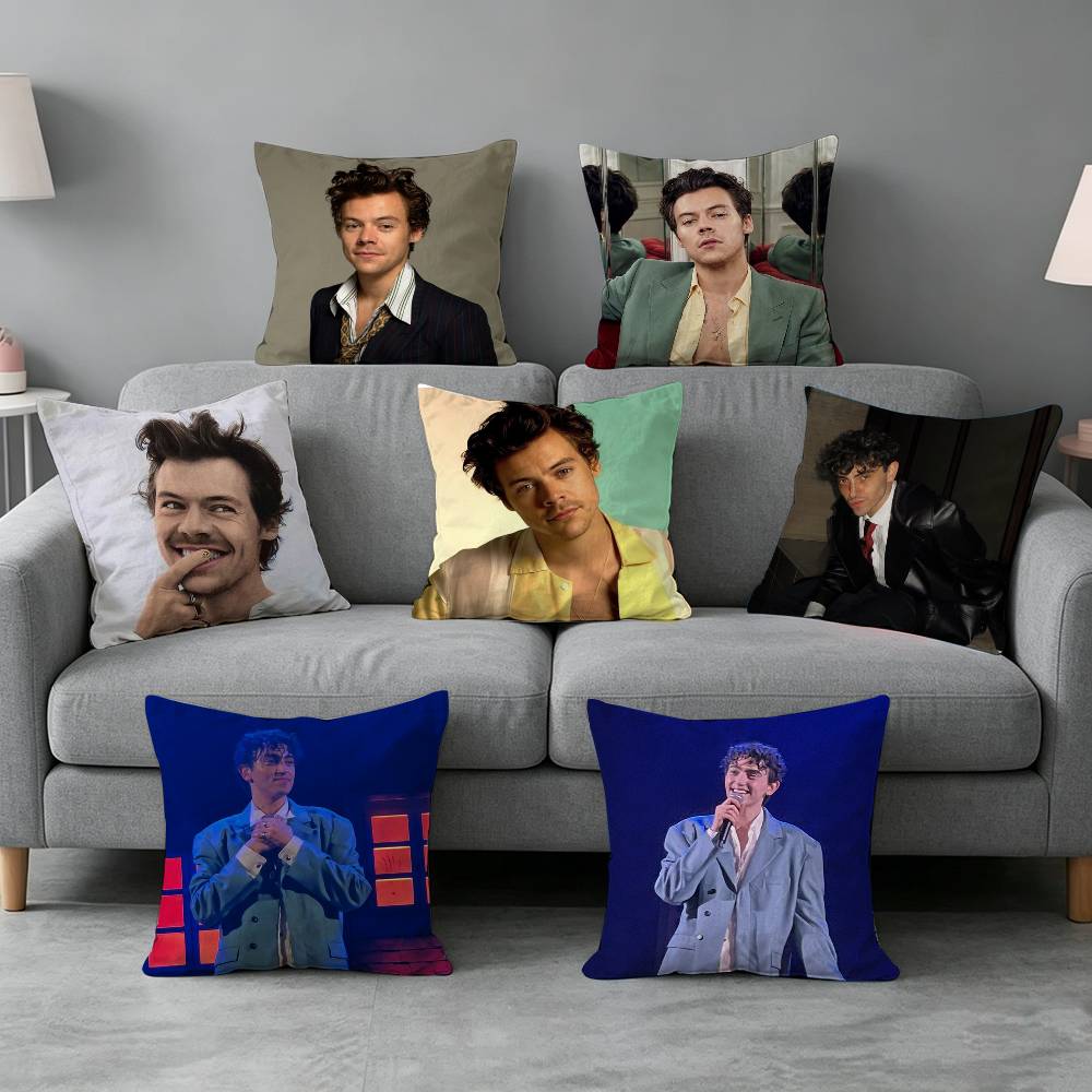 Home Textiles Definition - Housse de coussin Michele B-Bravi Freddo-o,