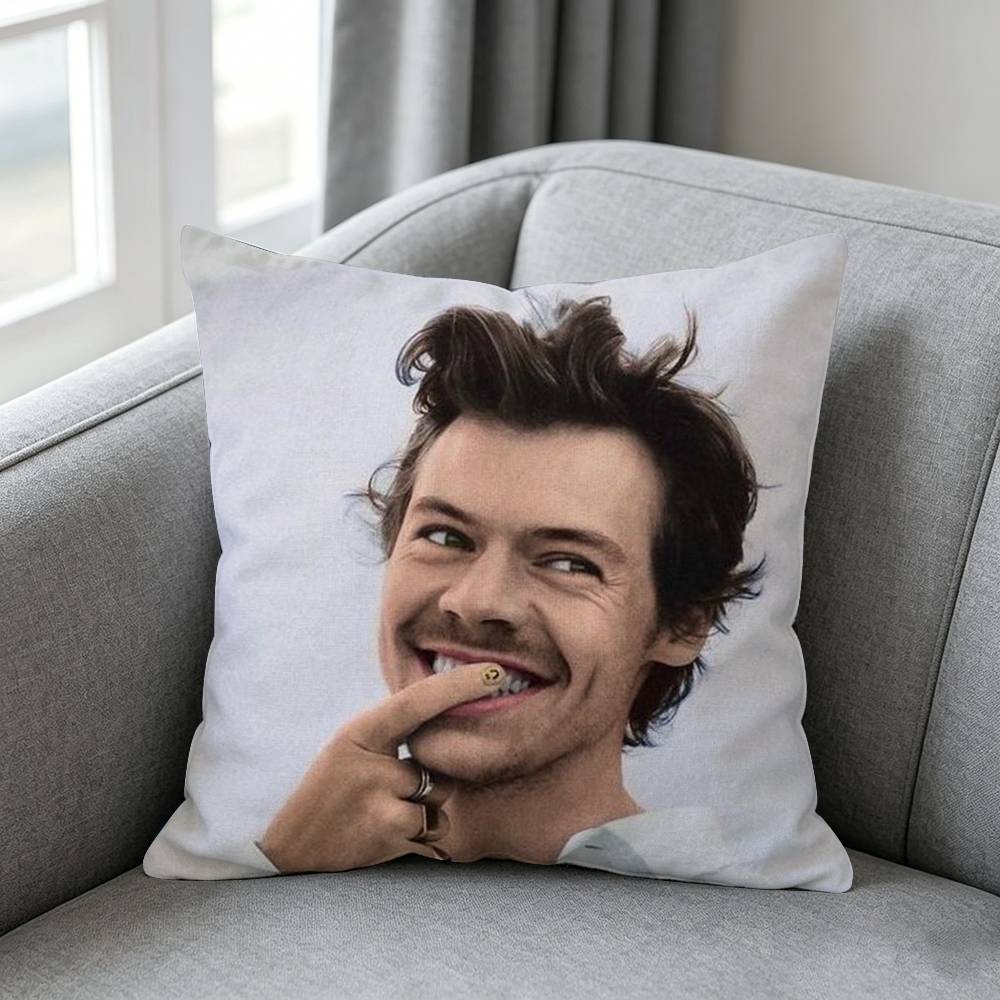 Housse de coussin Michele B-Br - Home Textiles Definition avis et prix